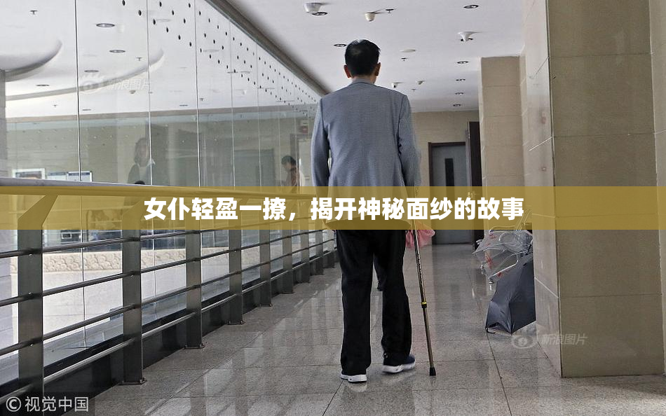 女仆轻盈一撩，揭开神秘面纱的故事