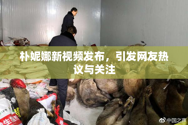 朴妮娜新视频发布，引发网友热议与关注