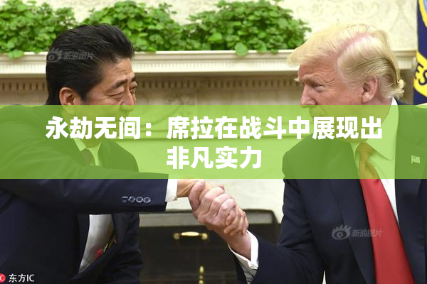 永劫无间：席拉在战斗中展现出非凡实力