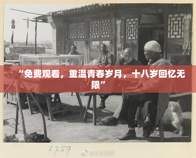 “免费观看，重温青春岁月，十八岁回忆无限”
