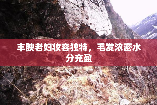丰腴老妇妆容独特，毛发浓密水分充盈