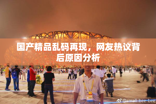 国产精品乱码再现，网友热议背后原因分析