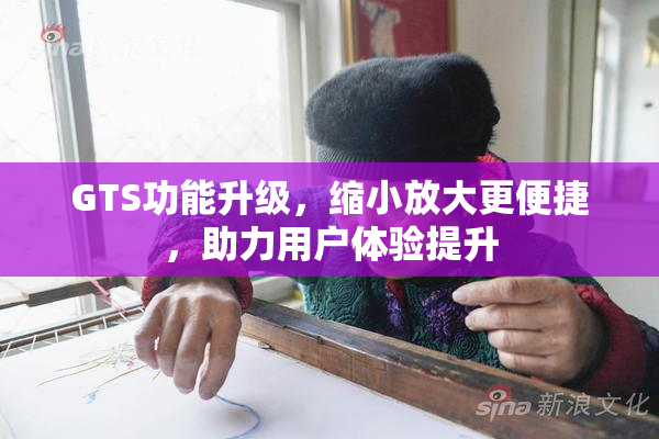 GTS功能升级，缩小放大更便捷，助力用户体验提升
