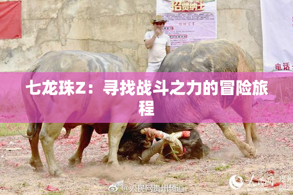 七龙珠Z：寻找战斗之力的冒险旅程