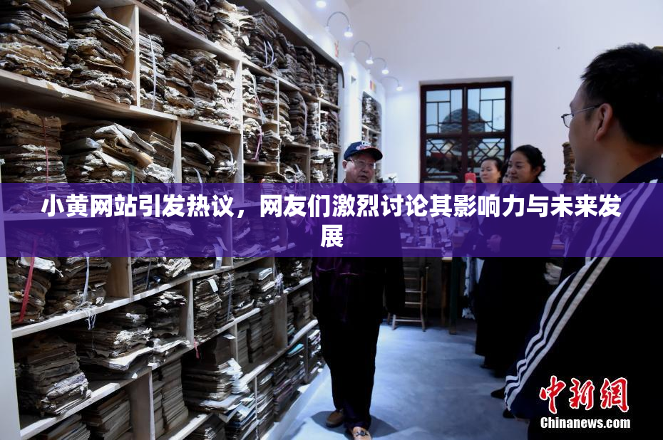 小黄网站引发热议，网友们激烈讨论其影响力与未来发展