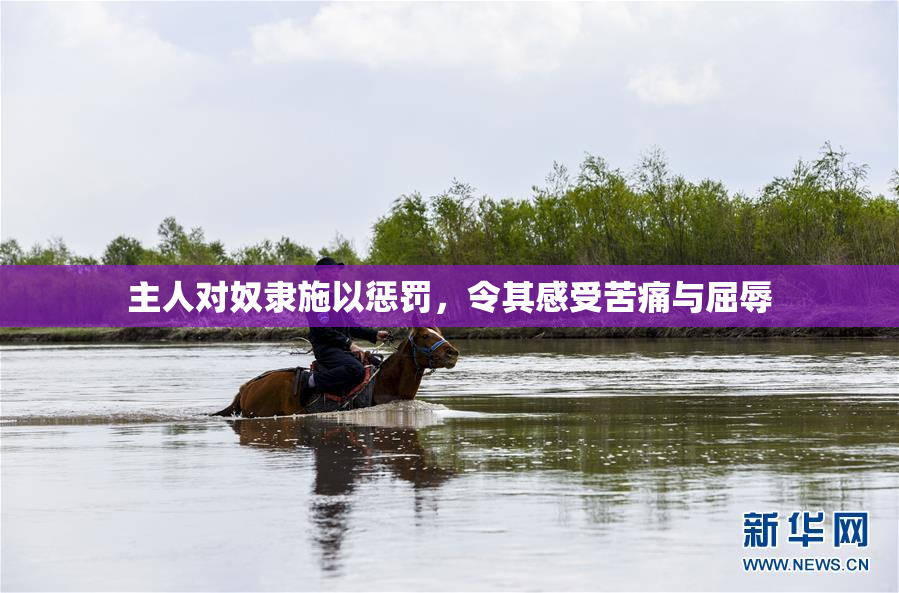 主人对奴隶施以惩罚，令其感受苦痛与屈辱