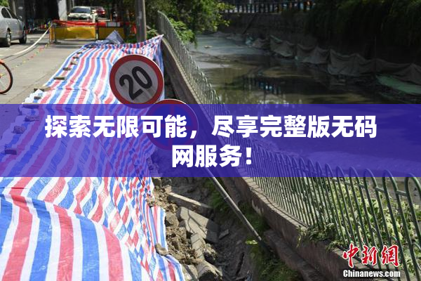 探索无限可能，尽享完整版无码网服务！