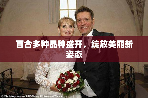 百合多种品种盛开，绽放美丽新姿态