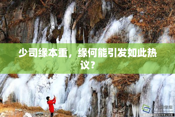 少司缘本重，缘何能引发如此热议？