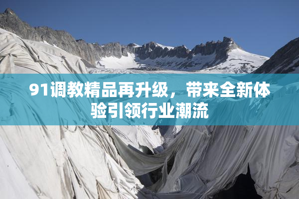 91调教精品再升级，带来全新体验引领行业潮流