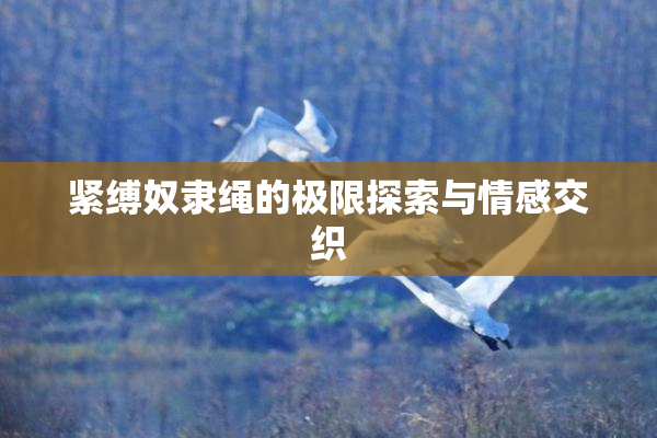 紧缚奴隶绳的极限探索与情感交织