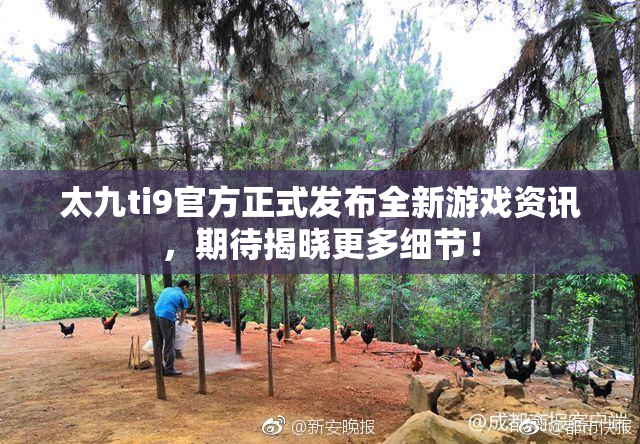 太九ti9官方正式发布全新游戏资讯，期待揭晓更多细节！