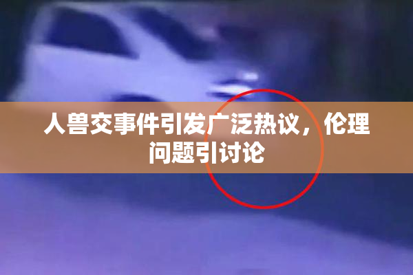 人兽交事件引发广泛热议，伦理问题引讨论