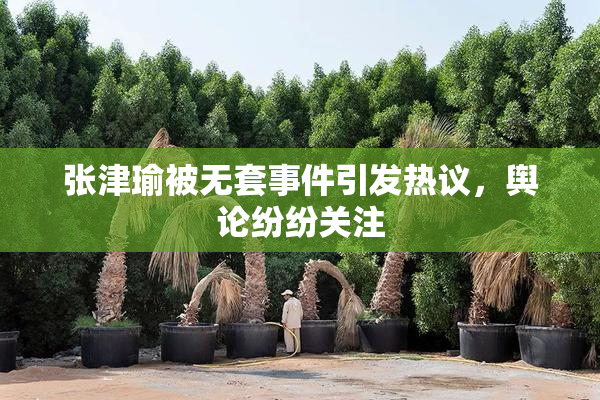 张津瑜被无套事件引发热议，舆论纷纷关注