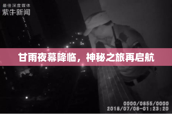 甘雨夜幕降临，神秘之旅再启航