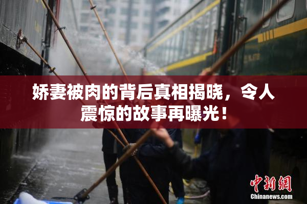 娇妻被肉的背后真相揭晓，令人震惊的故事再曝光！