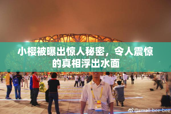 小樱被曝出惊人秘密，令人震惊的真相浮出水面