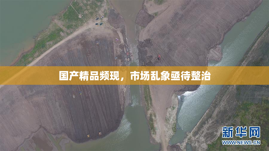 国产精品频现，市场乱象亟待整治