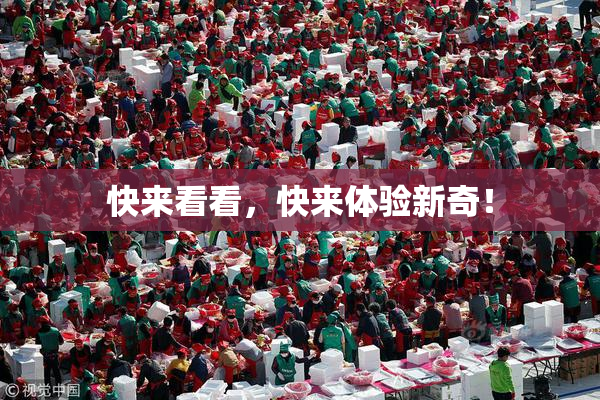 快来看看，快来体验新奇！