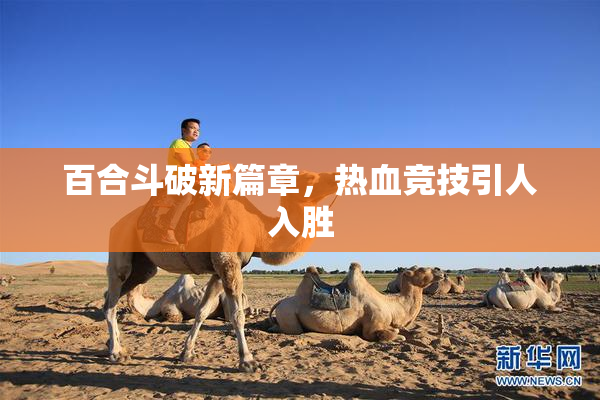 百合斗破新篇章，热血竞技引人入胜