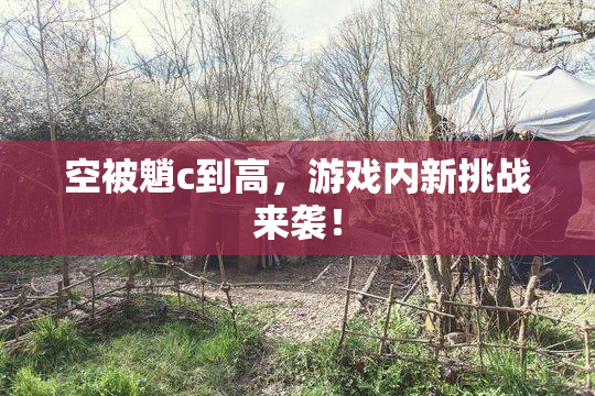 空被魈c到高，游戏内新挑战来袭！