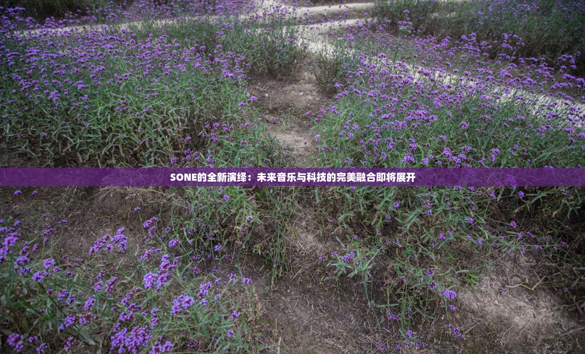 SONE的全新演绎：未来音乐与科技的完美融合即将展开