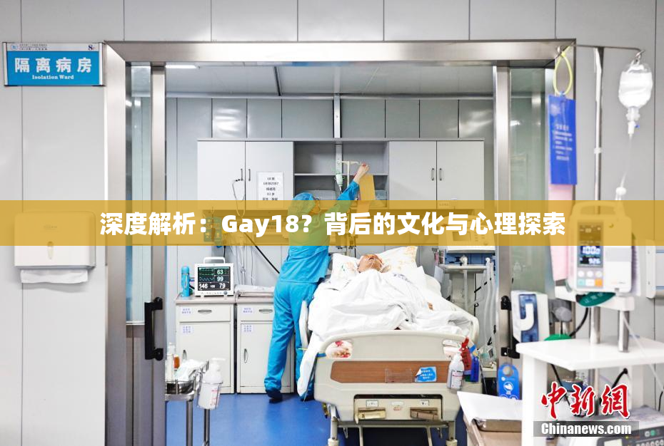 深度解析：Gay18？背后的文化与心理探索