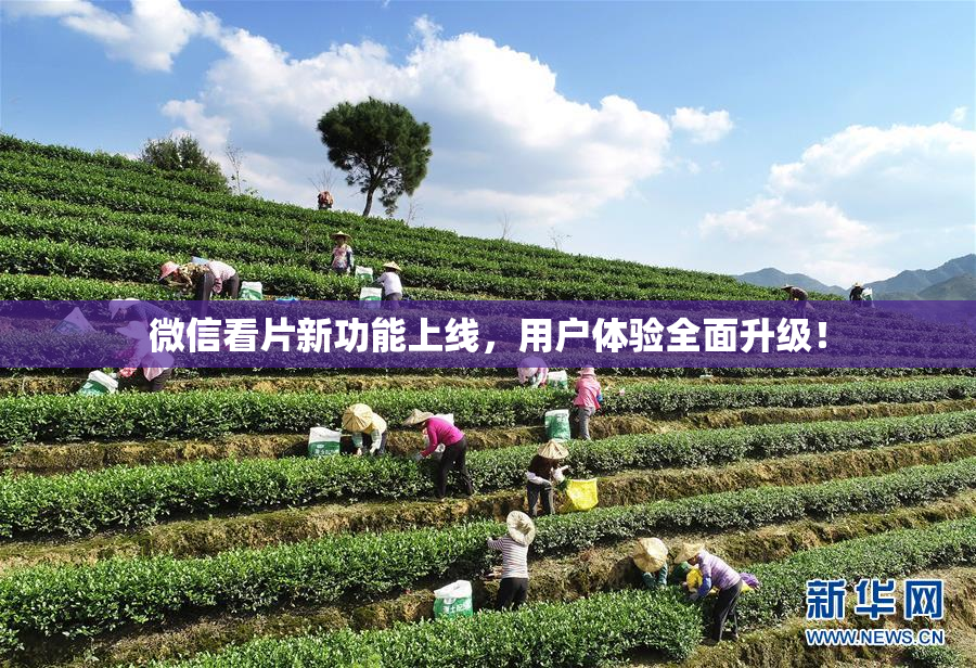 微信看片新功能上线，用户体验全面升级！