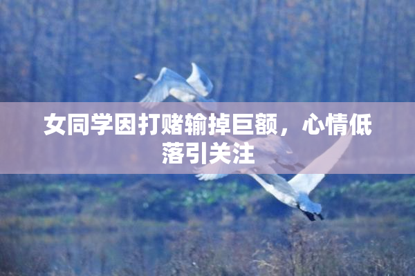 女同学因打赌输掉巨额，心情低落引关注