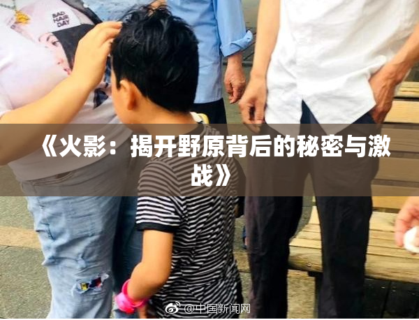 《火影：揭开野原背后的秘密与激战》