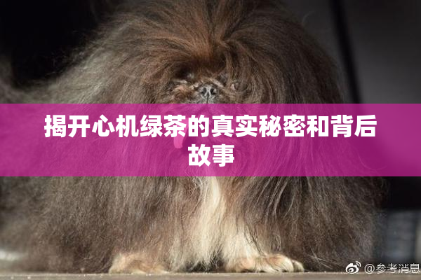揭开心机绿茶的真实秘密和背后故事