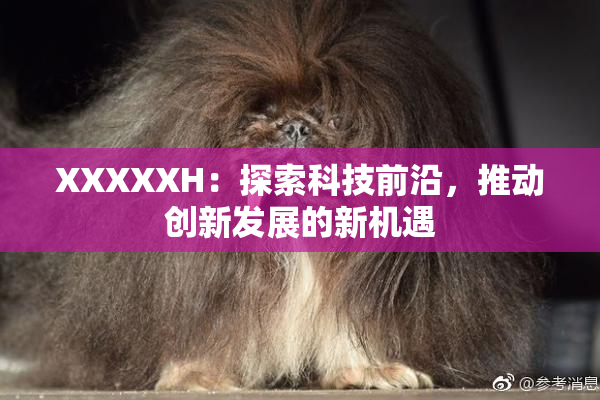 XXXXXH：探索科技前沿，推动创新发展的新机遇