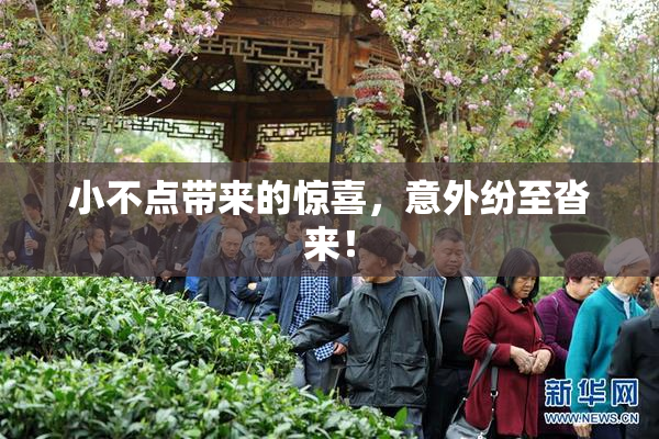 小不点带来的惊喜，意外纷至沓来！