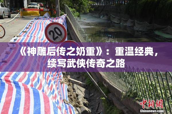 《神雕后传之奶重》：重温经典，续写武侠传奇之路