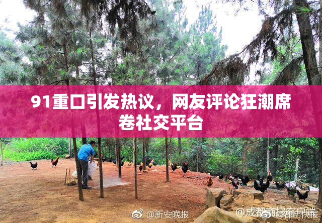 91重口引发热议，网友评论狂潮席卷社交平台