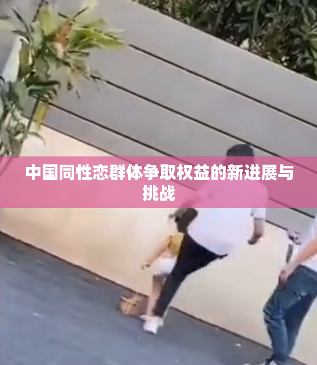 中国同性恋群体争取权益的新进展与挑战