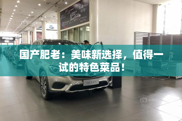 国产肥老：美味新选择，值得一试的特色菜品！