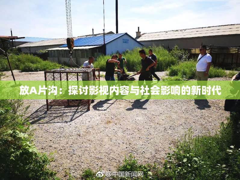 放A片沟：探讨影视内容与社会影响的新时代