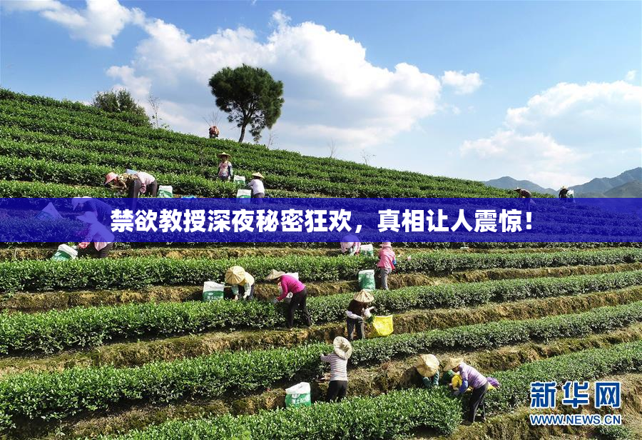 禁欲教授深夜秘密狂欢，真相让人震惊！