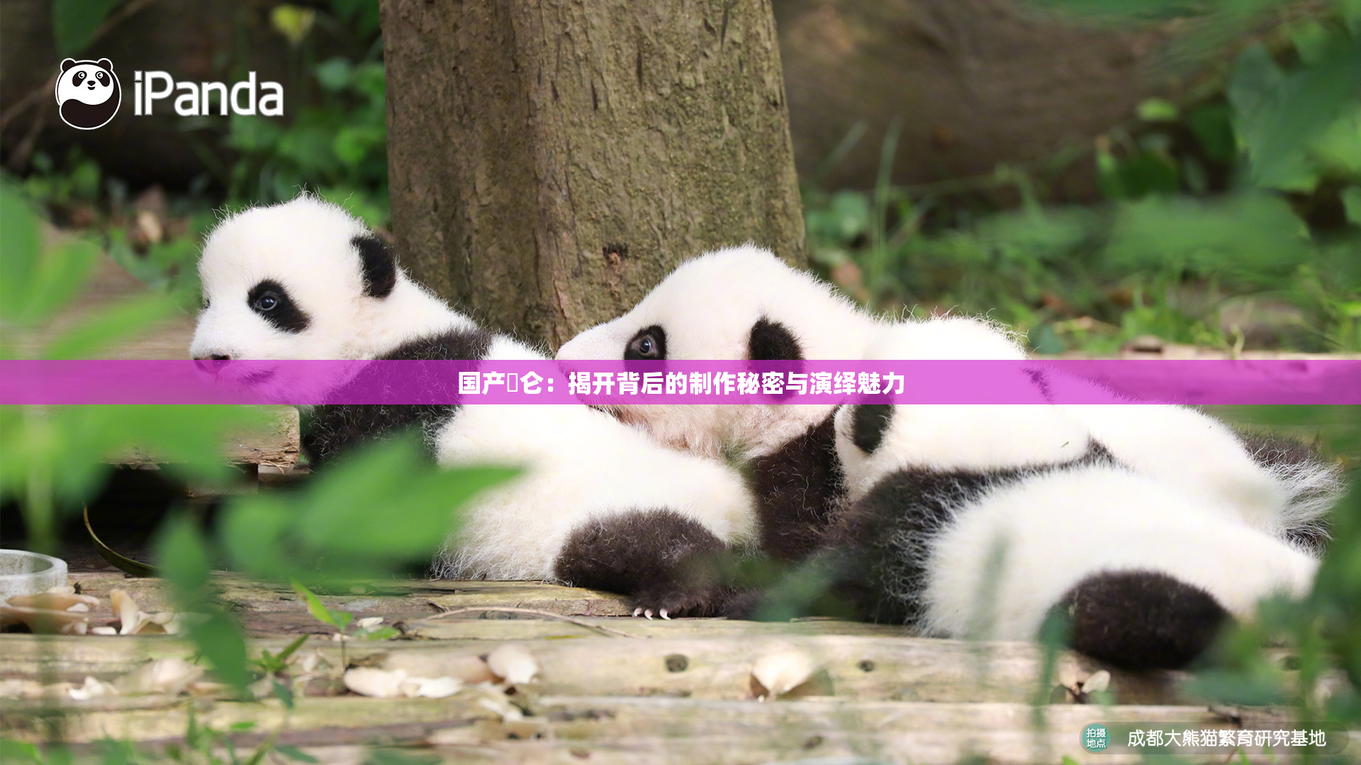 国产婬仑：揭开背后的制作秘密与演绎魅力