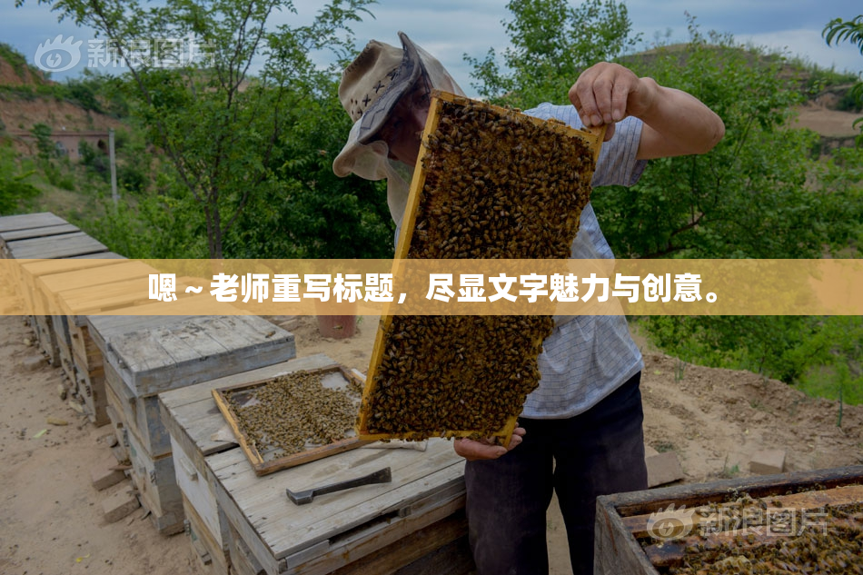 嗯～老师重写标题，尽显文字魅力与创意。