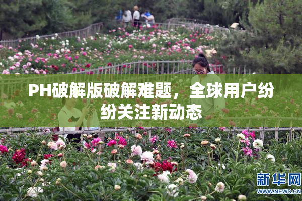 PH破解版破解难题，全球用户纷纷关注新动态