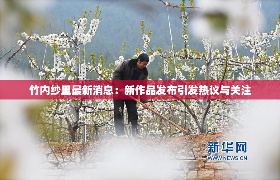 竹内纱里最新消息：新作品发布引发热议与关注