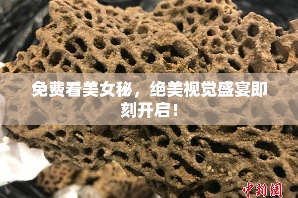 免费看美女秘，绝美视觉盛宴即刻开启！