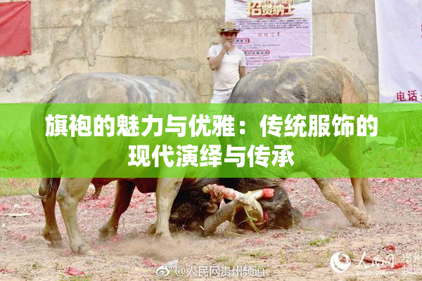 旗袍的魅力与优雅：传统服饰的现代演绎与传承