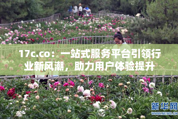 17c.co：一站式服务平台引领行业新风潮，助力用户体验提升