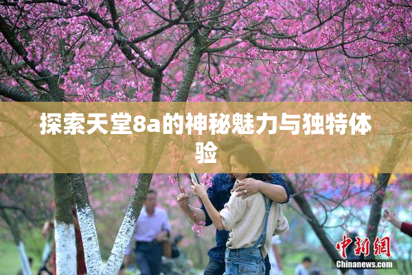 探索天堂8a的神秘魅力与独特体验