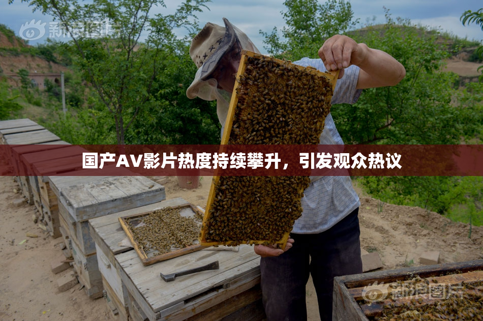 国产AV影片热度持续攀升，引发观众热议