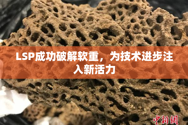 LSP成功破解软重，为技术进步注入新活力