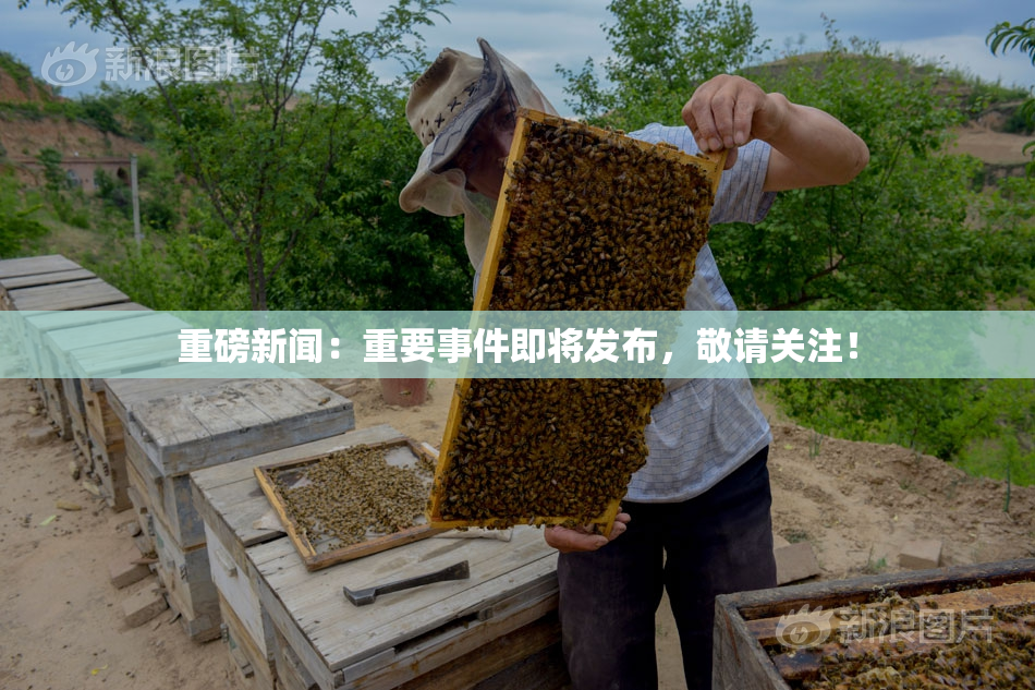 重磅新闻：重要事件即将发布，敬请关注！